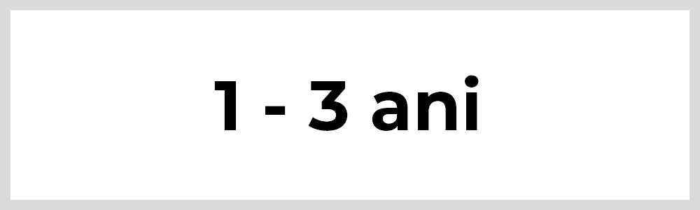 1 - 3 ani