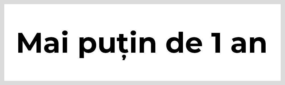 Mai puțin de 1 an